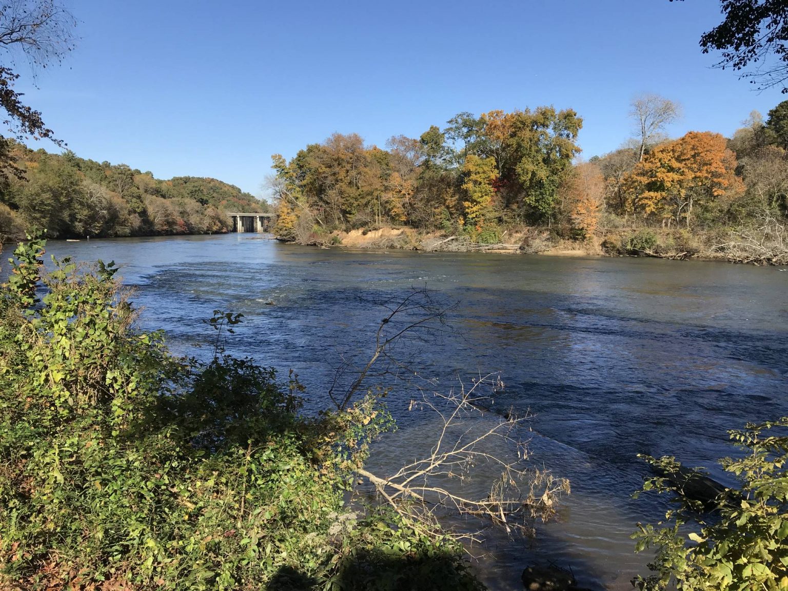 November River Ramble | Chattahoochee RiverLands