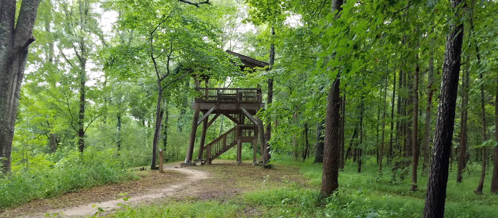 Chattahoochee bend 2024 state park hiking